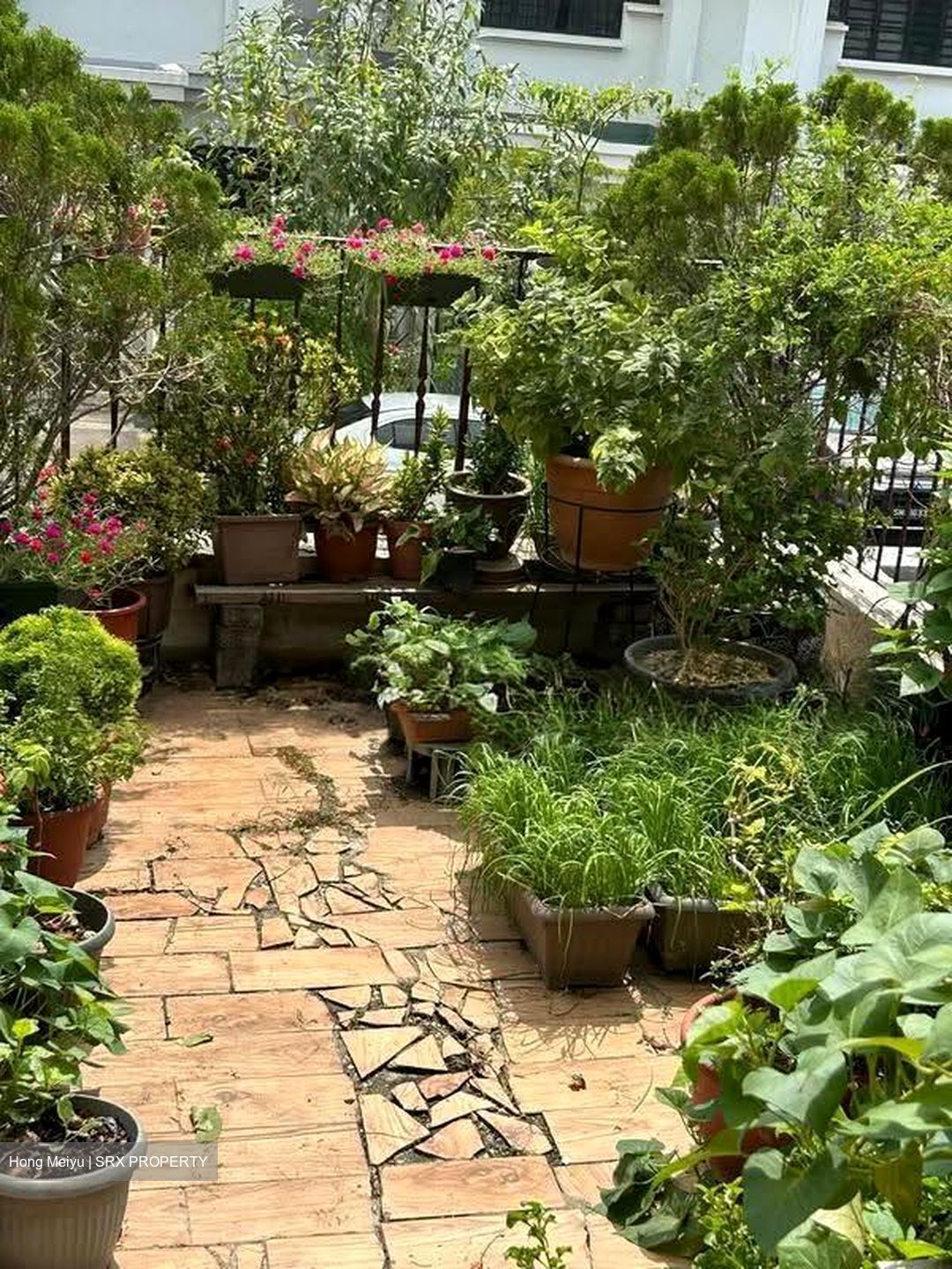 Avila Terrace (D17), Terrace #627853251